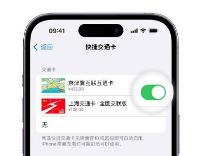 米易apple维修点分享iPhone上更换Apple Pay快捷交通卡手绘卡面 