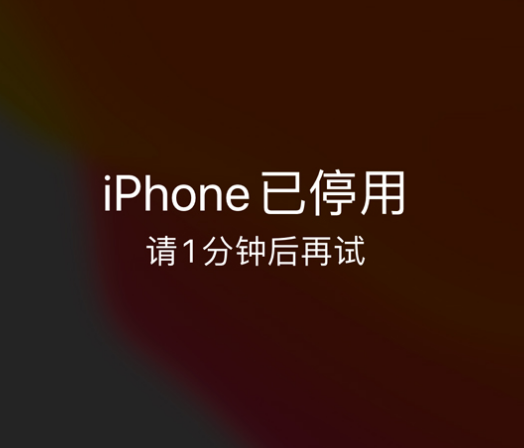 米易苹果手机维修分享:iPhone 显示“不可用”或“已停用”怎么办？还能保留数据吗？ 