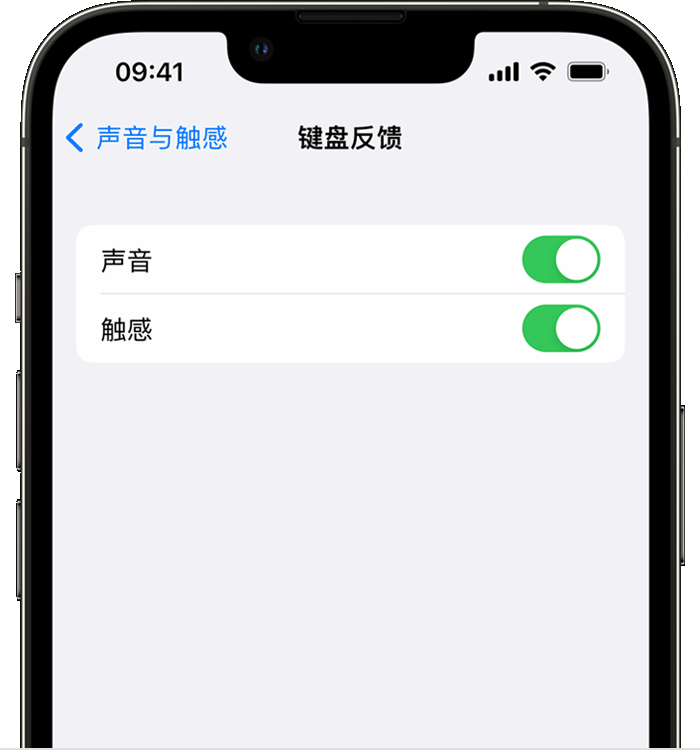 米易苹果14维修店分享如何在 iPhone 14 机型中使用触感键盘 