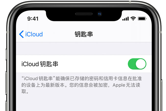 米易苹果手机维修分享在 iPhone 上开启 iCloud 钥匙串之后会储存哪些信息 