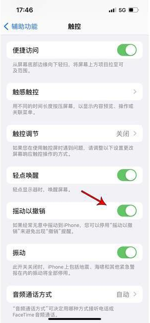 米易苹果手机维修分享iPhone手机如何设置摇一摇删除文字 