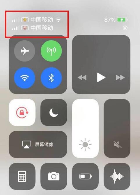 米易苹果手机维修分享为 iPhone 12 双卡设置标签 