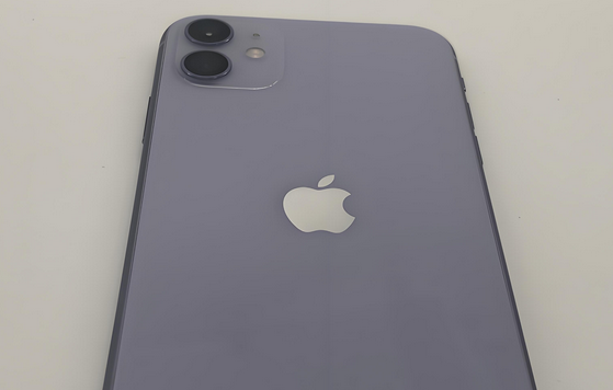 米易苹果11系统维修分享iPhone11手机系统崩溃无法开机如何解决 
